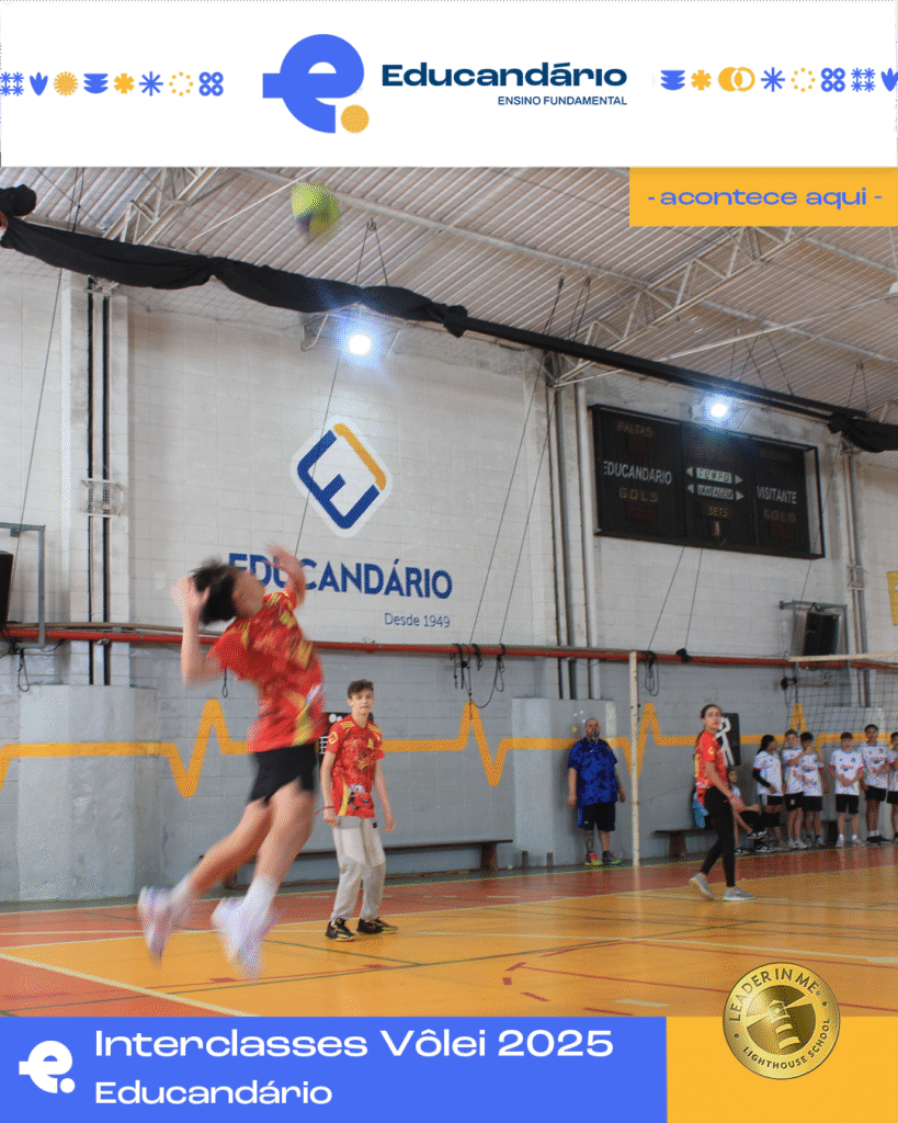 imagem-destacada-5-819x1024